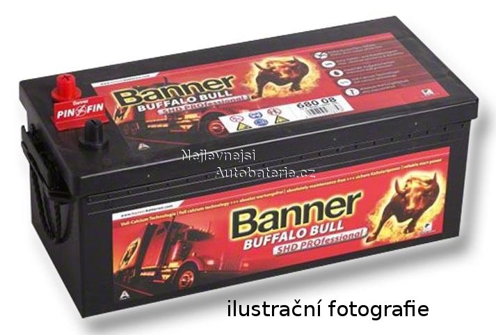 Autobaterie Banner Buffalo Bull SHD PROfessional 645 03, 145Ah, - Kliknutm na obrzek zavete