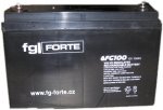 Zdroj fg-Forte AGM-6fg 6FG100 12V/100Ah