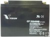 Zdroj Vision deep cycle CP12240D 12V/24Ah